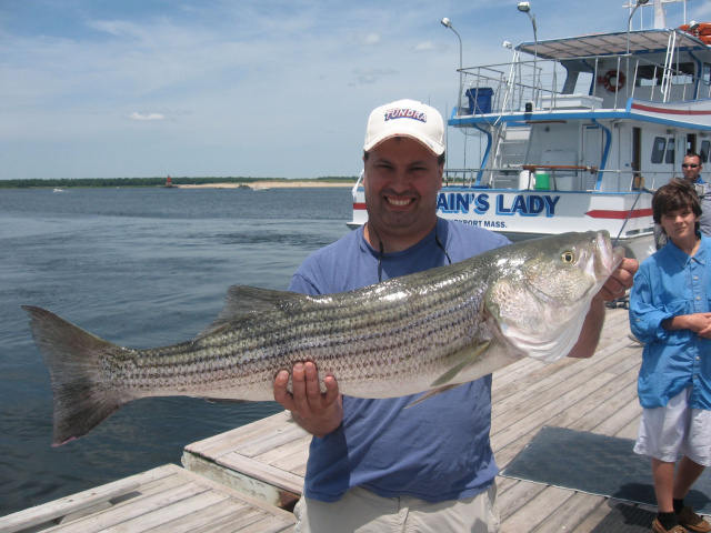 Merrimack River Striper